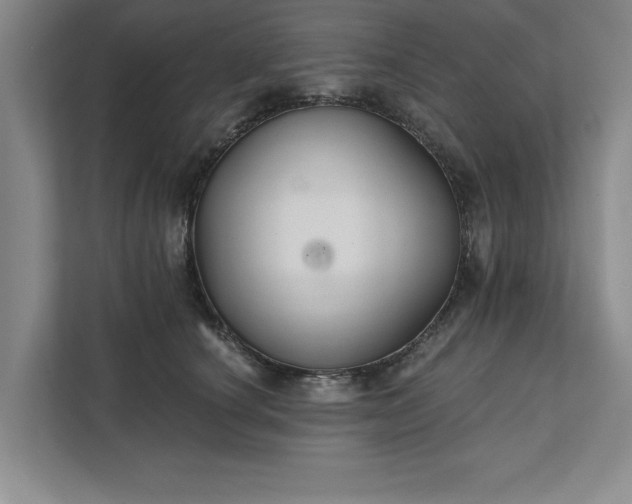 X0000111510660200907211204