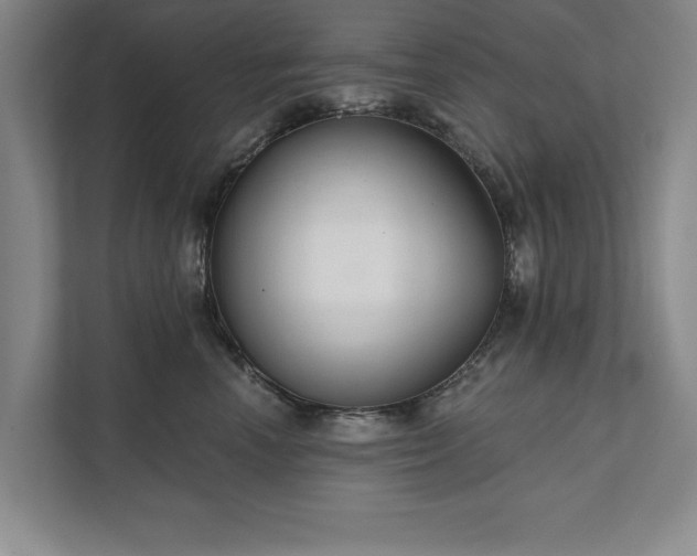 X0000111510666200907211204