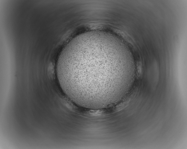 X0000111510667200907211205