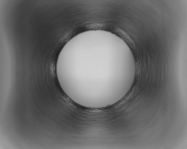 X0000111510669200907211205