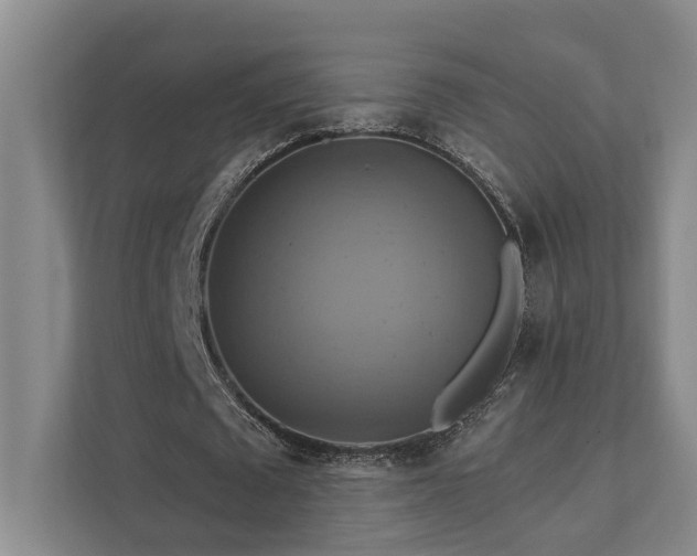 X0000111510673200907211204