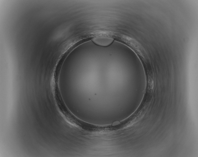X0000111510674200907211204