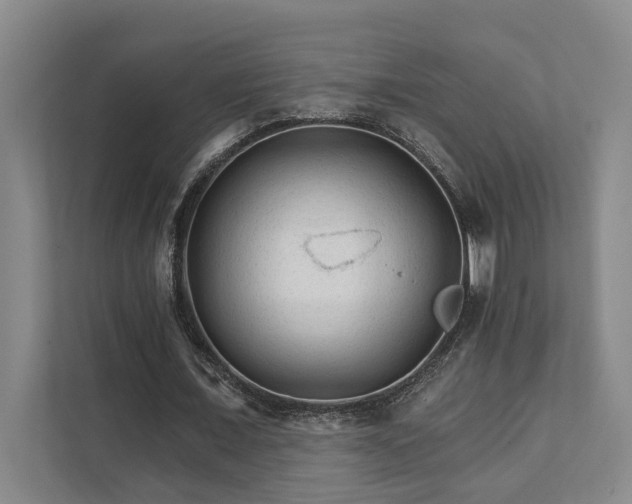 X0000111510675200907211204