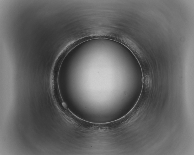 X0000111510676200907211204