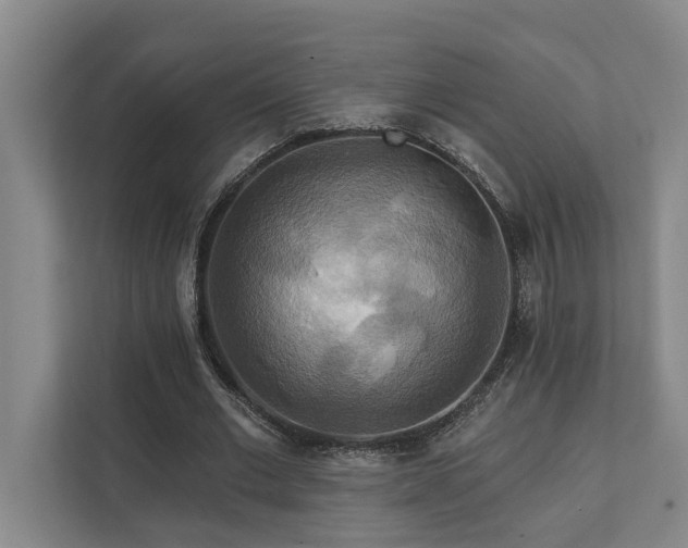 X0000111510677200907211204