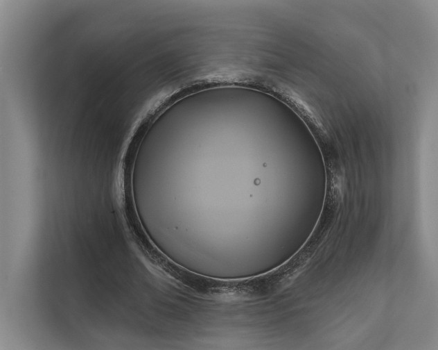 X0000111510678200907211204