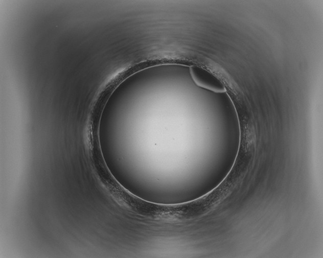 X0000111510680200907211204