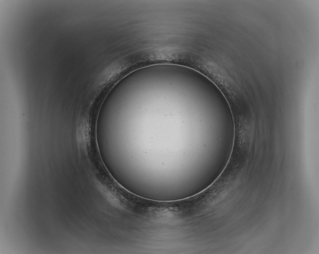 X0000111510683200907211204