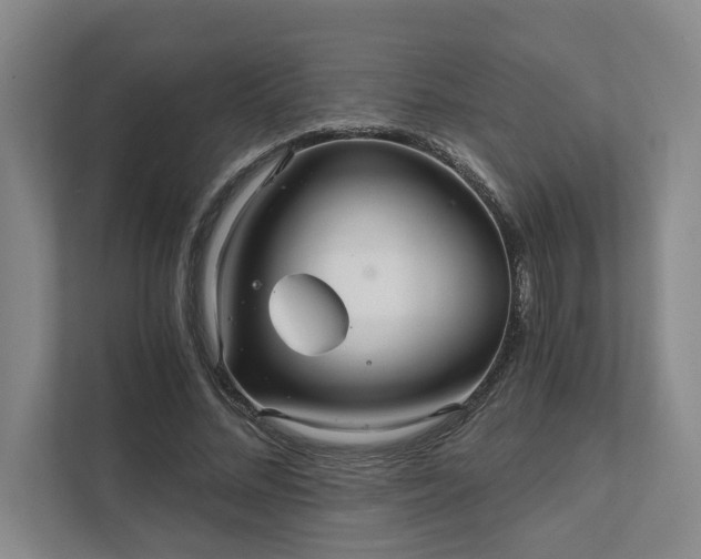 X0000111510684200907211204