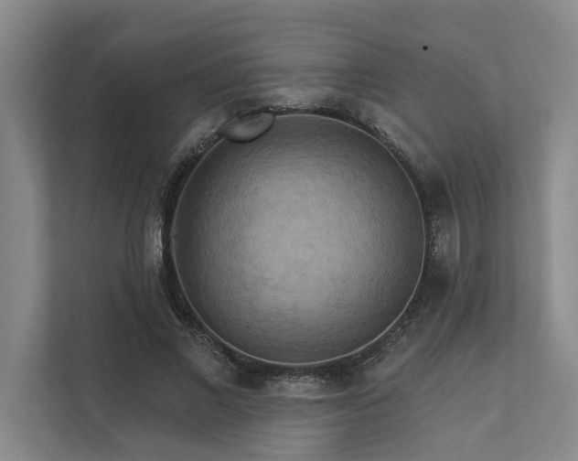 X0000111510685200907211204