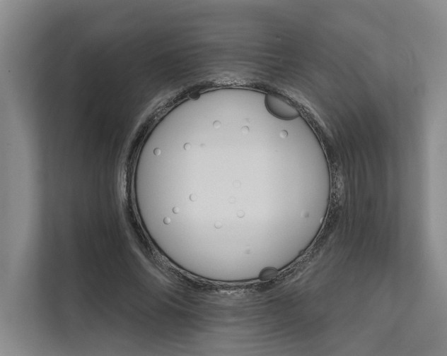 X0000111510686200907211204