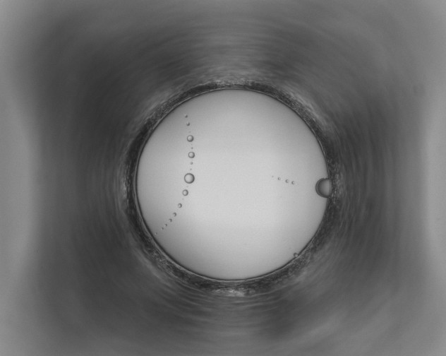 X0000111510687200907211204