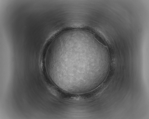 X0000111510688200907211204