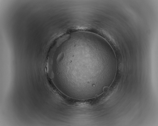 X0000111510689200907211204
