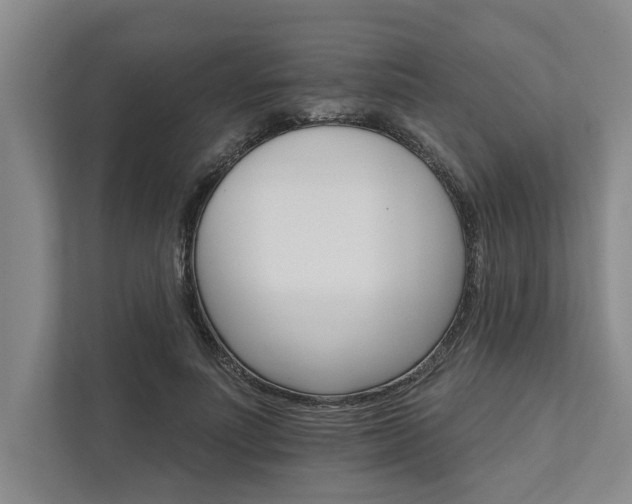 X0000111510691200907211204
