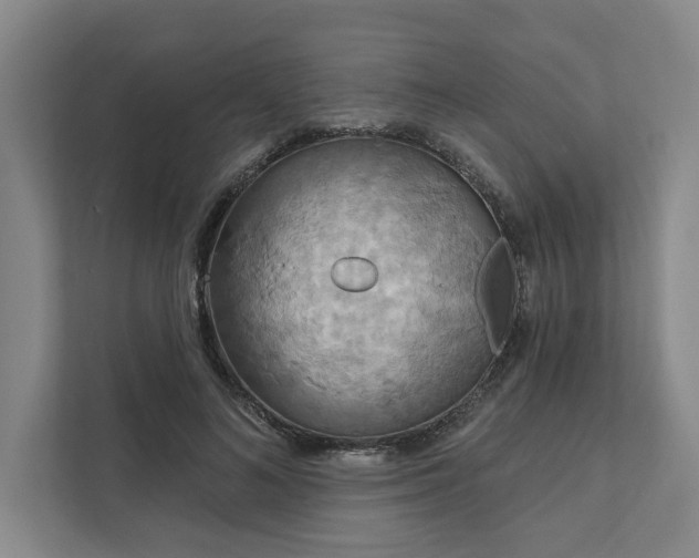 X0000111510692200907211204