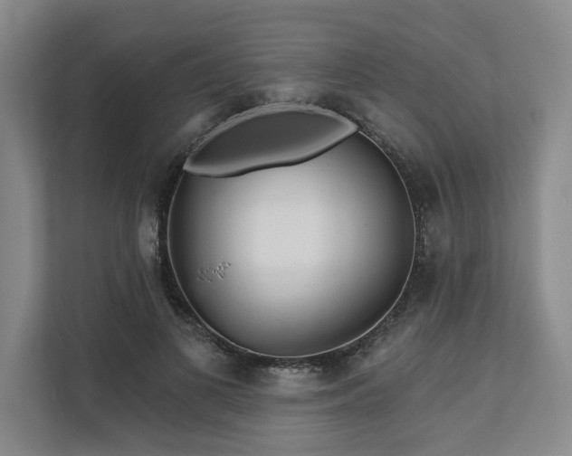 X0000111510693200907211204