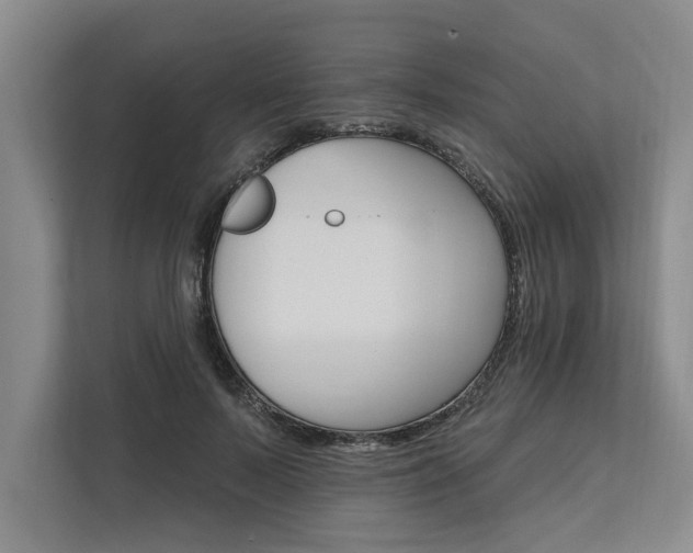 X0000111510695200907211204