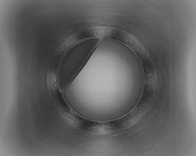 X0000111510696200907211204
