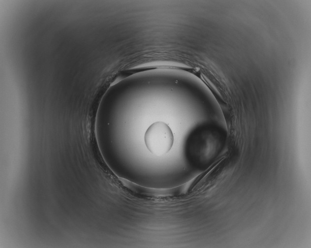 X0000111510697200907211204