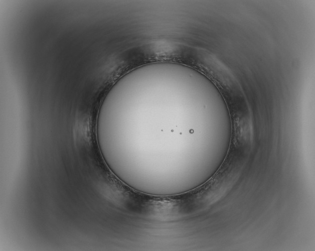 X0000111510698200907211204