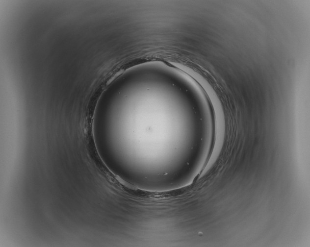X0000111510701200907211203