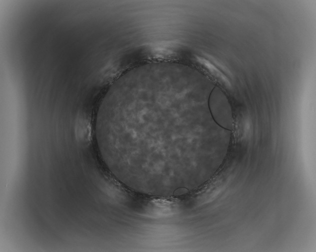 X0000111510703200907211203