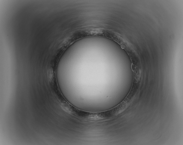 X0000111510704200907211203