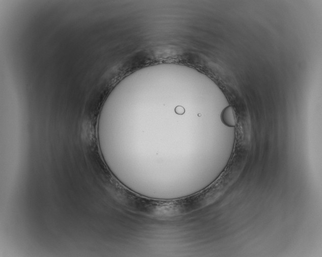 X0000111510705200907211203