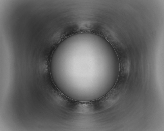 X0000111510706200907211203