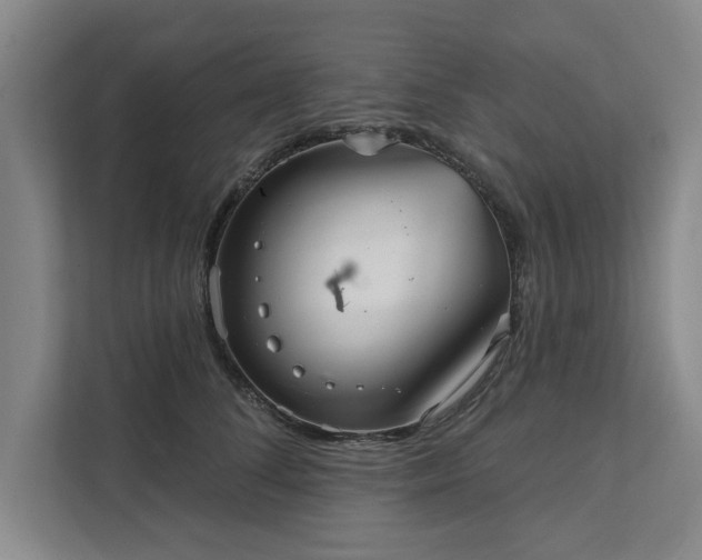 X0000111510708200907211203