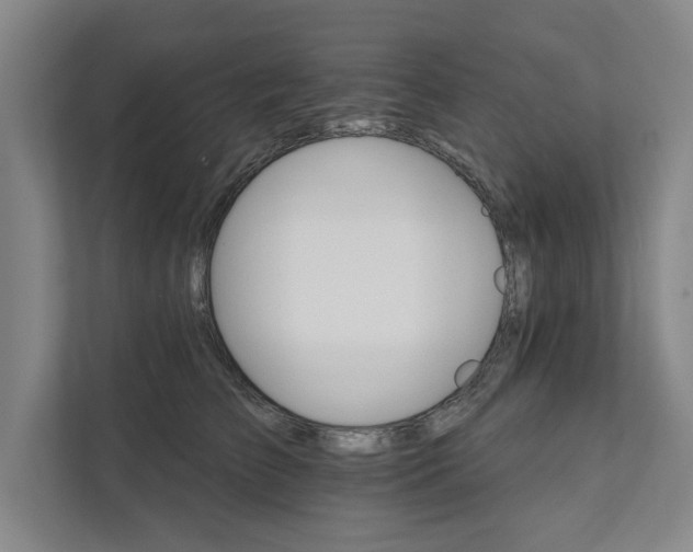 X0000111510709200907211203