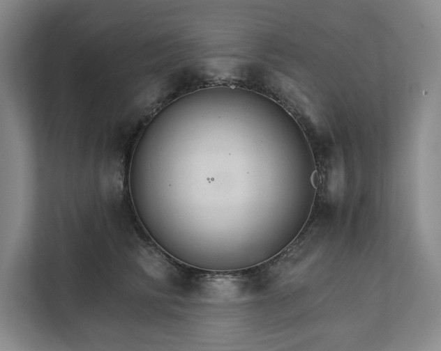 X0000111510710200907211203