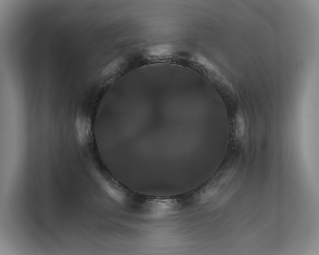X0000111510711200907211203