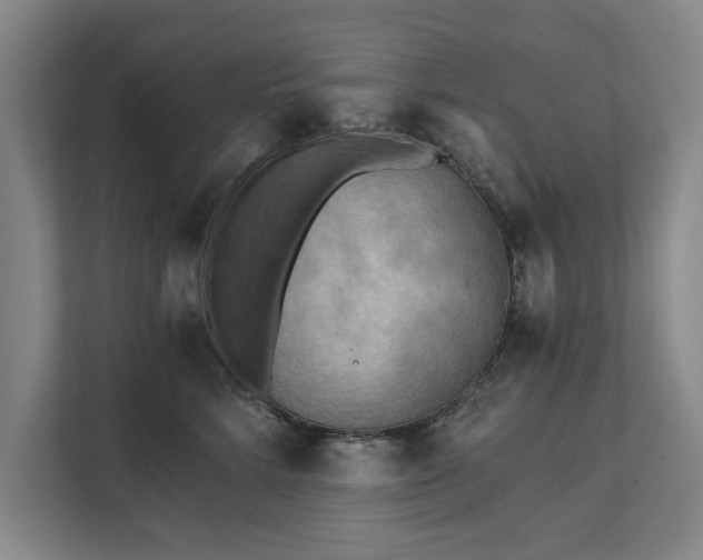 X0000111510712200907211203