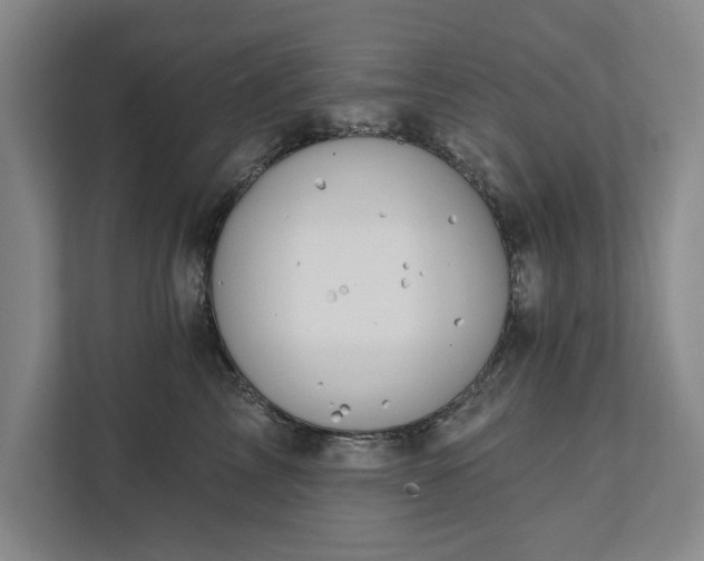 X0000111510713200907211203