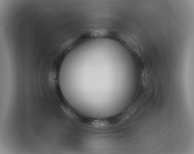 X0000111510714200907211203