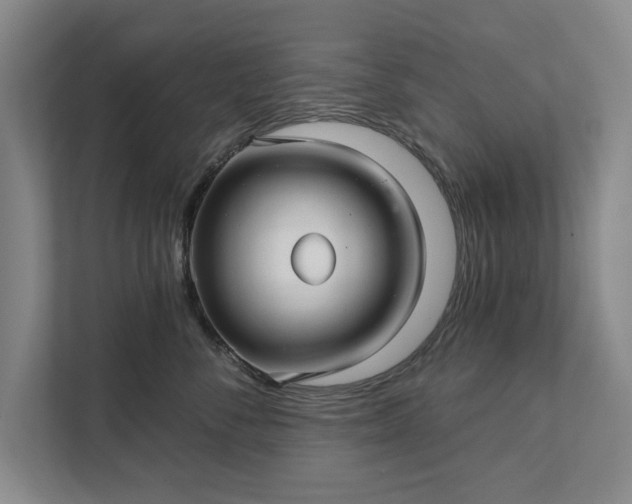 X0000111510716200907211203