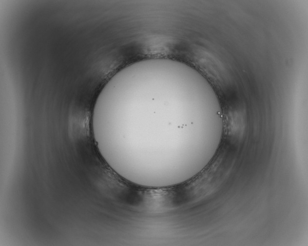 X0000111510717200907211203