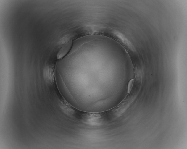 X0000111510719200907211203