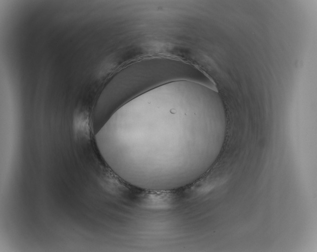 X0000111510720200907211203