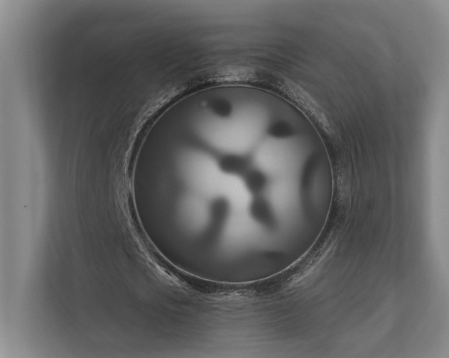 X0000111510721200907211203