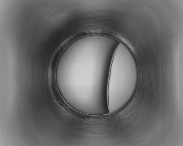 X0000111510722200907211203