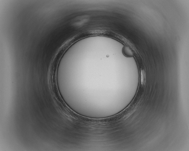 X0000111510723200907211203