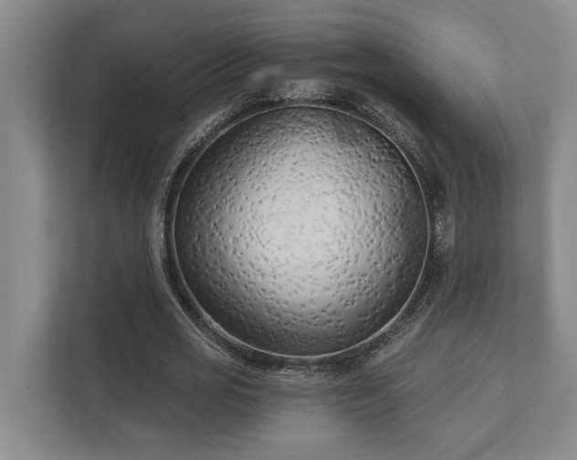 X0000111510725200907211203