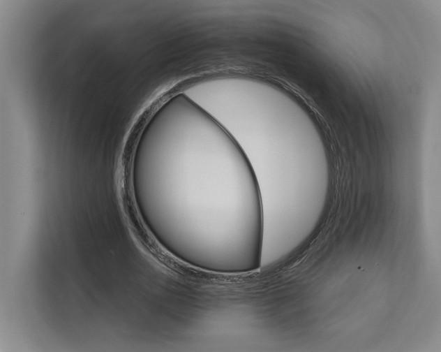 X0000111510726200907211203