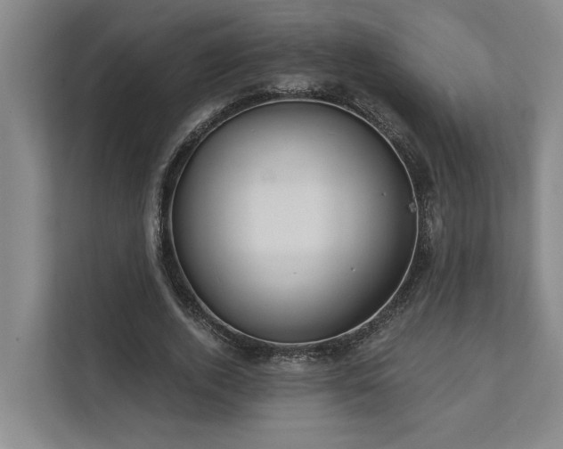 X0000111510728200907211203