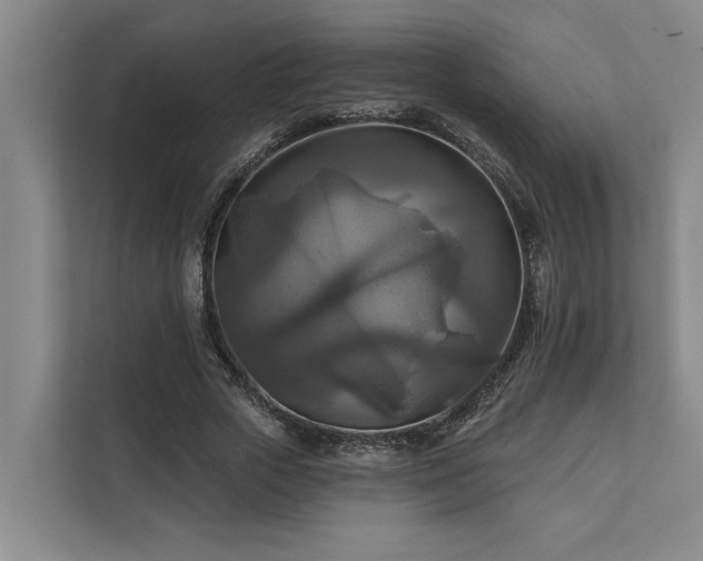 X0000111510729200907211203