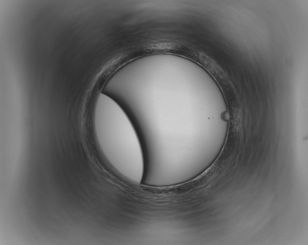 X0000111510731200907211203