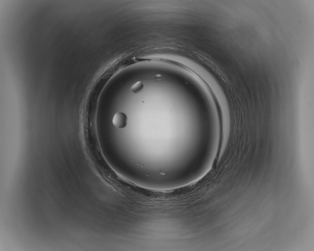 X0000111510732200907211203